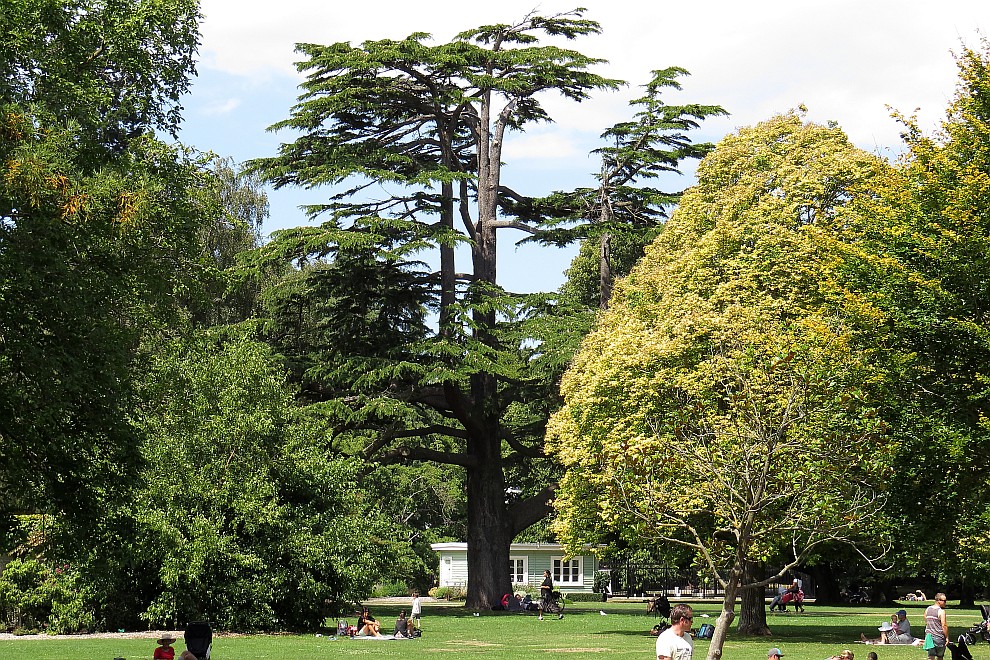 Botanischer Garten in Christchurch